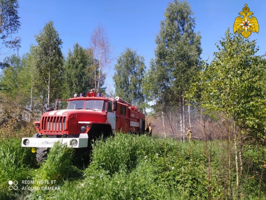 В Парфеньевском районе Костромской области загорелся лес