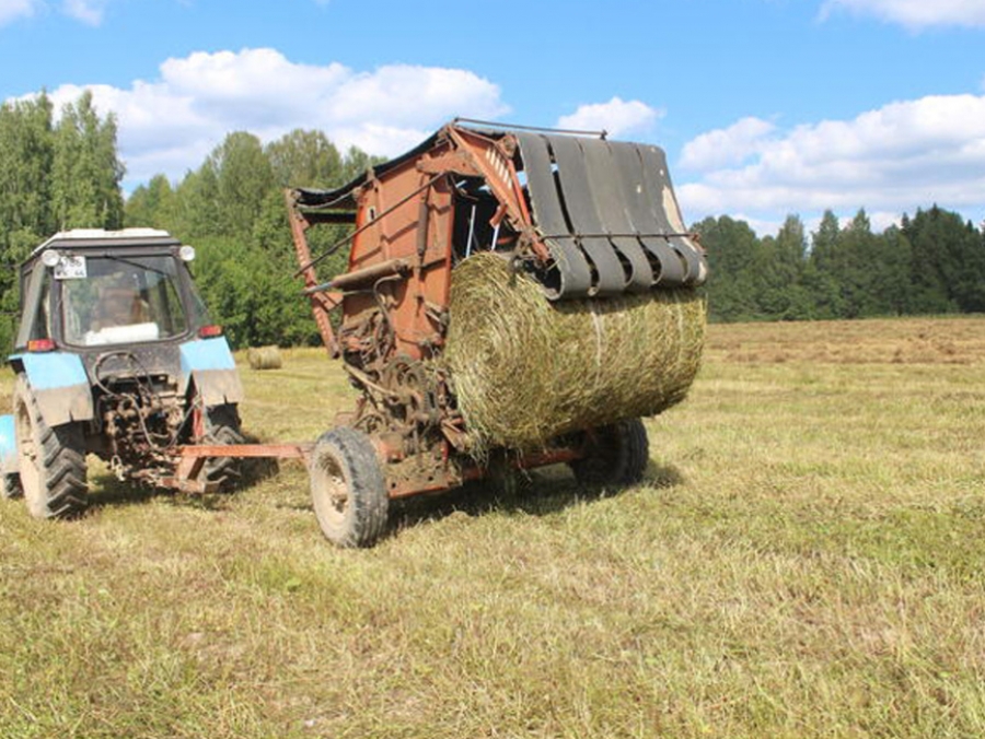 Костромские фермеры заготавливают сено и силос ускоренными темпами