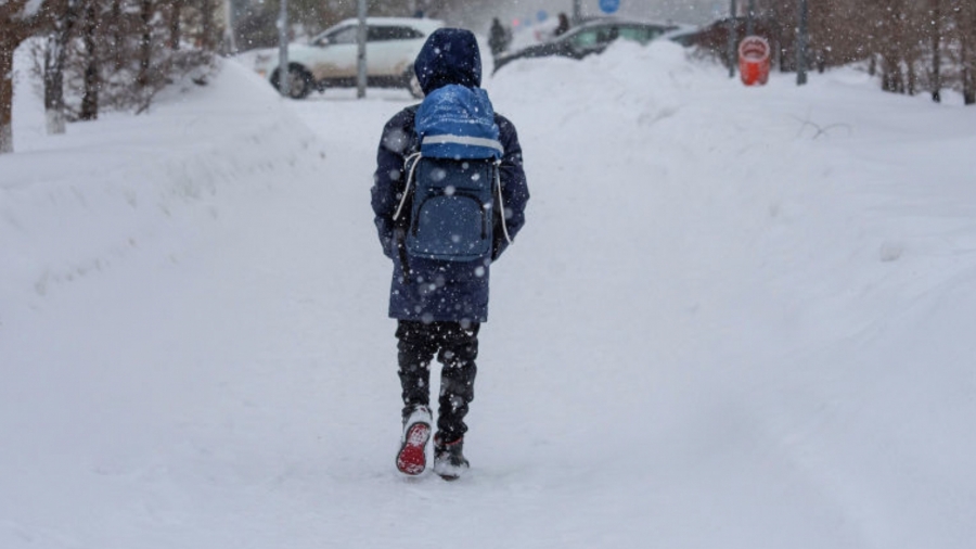 Костромским школьникам могут ввести свободное посещение занятий из-за морозов