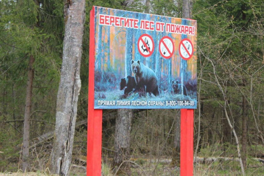 В ходе поездки в Нерехтский район губернатор раскритиковал плакат с медведями