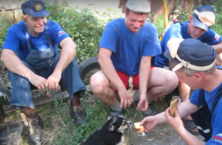 Костромские спасатели сняли самый добрый ролик о питомцах (ВИДЕО)