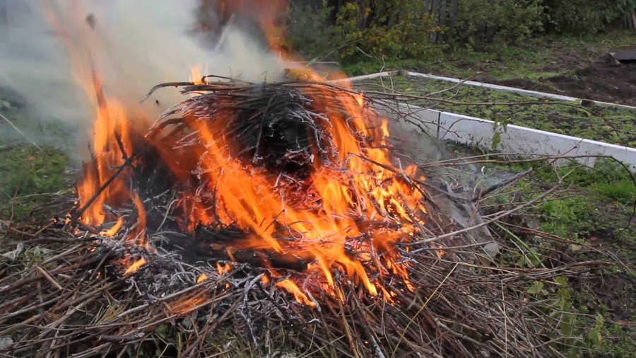 Костромичи смогут сжигать мусор на своих дачных участках, не опасаясь штрафов