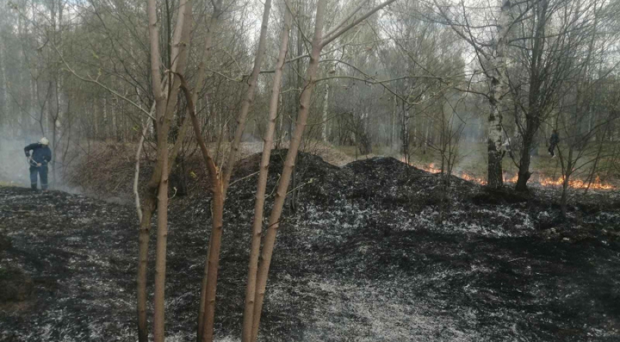В Костромской области продолжают выгорать поля