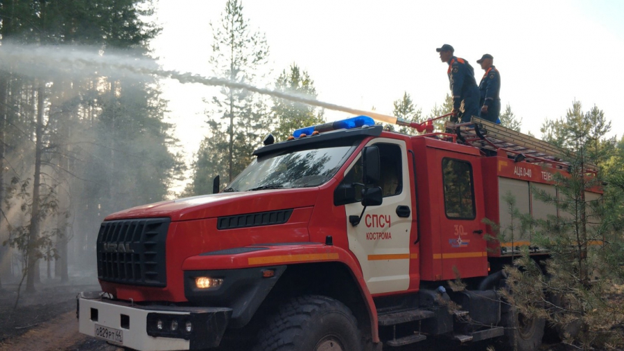 Масштабный лесной пожар в Костромской области захватывает новые площади