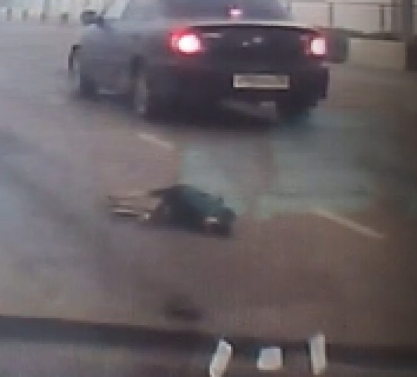 В Костроме водитель сбил собаку и бросил ее умирать