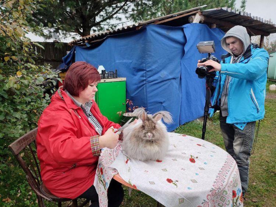 Кролики с ценным мехом довели костромичку до Первого канала
