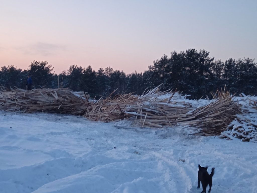 Огромную свалку отходов лесопиления обнаружили в Костромской области