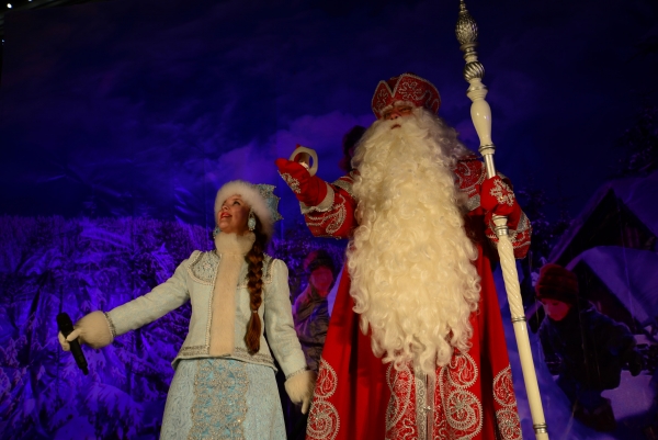30 января костромичи вместе со всей Россией отмечают День Деда Мороза и Снегурочки