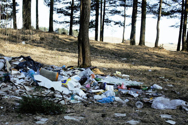 Фотоохота: костромичей, выбрасывающих мусор в неположенном месте, смогут штрафовать по снимкам с камер 