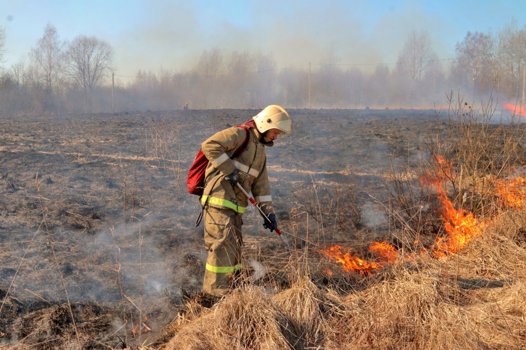 Костромские пожарные службы «вооружились» против весеннего пала травы