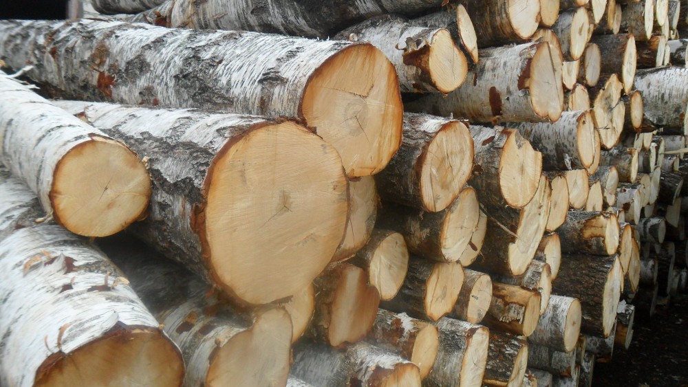 За неделю из региона вывезли больше 5 000 кубометров лесов