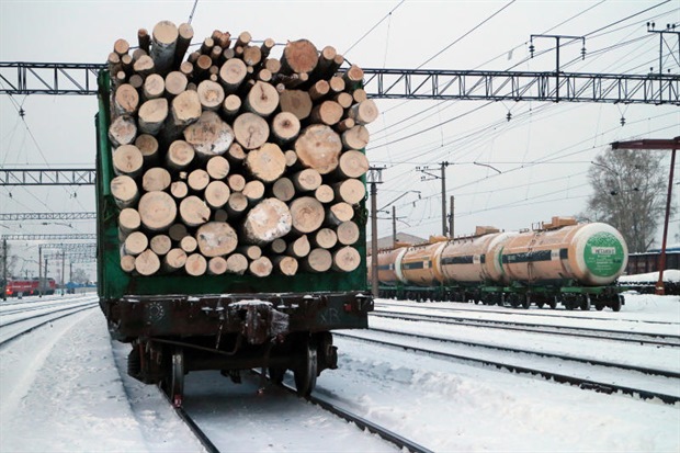 Костромской лес отправился на поезде в Монголию и Китай