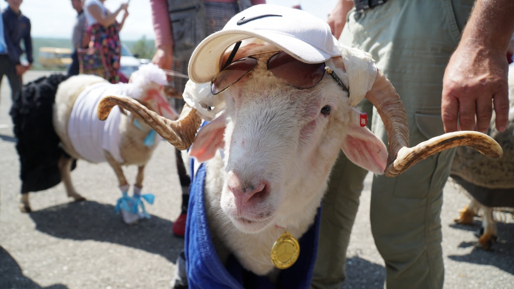 «Пастушьи забавы» пройдут в деревне Будихино в мае
