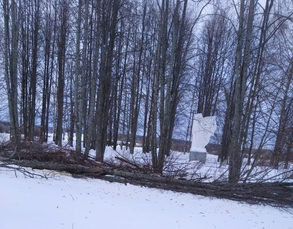 В Костромской области в парке, где проходят памятные акции к Дню Победы, вырубили деревья