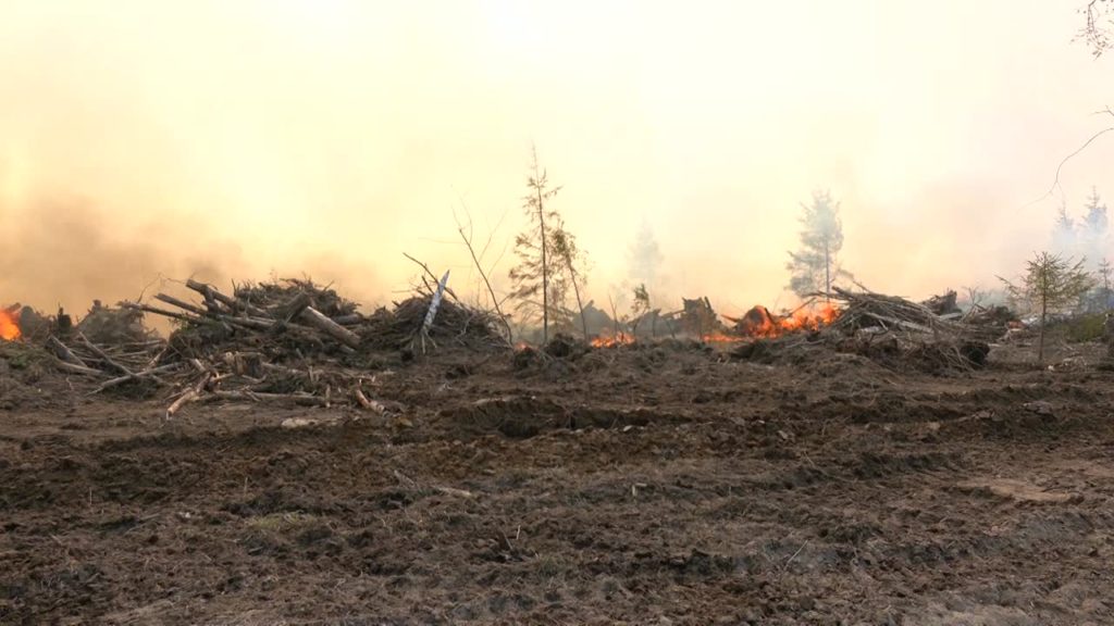 Костромская область может лишиться федерального финансирования из-за лесных пожаров