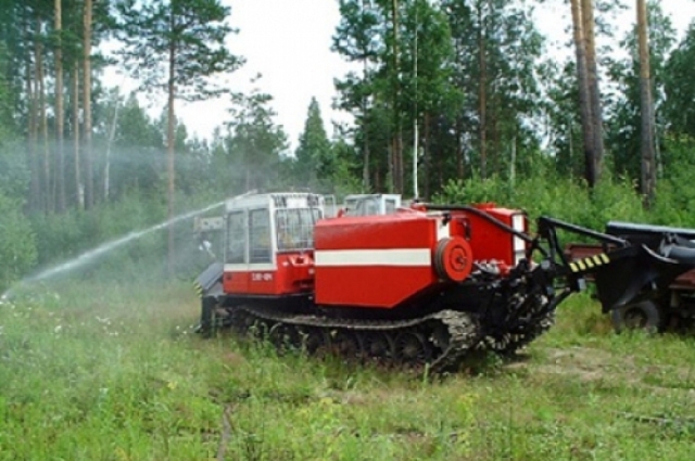 Костромскую область признали готовой к тушению лесных пожаров
