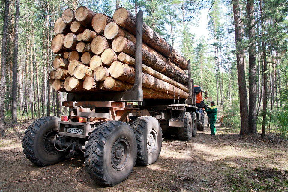 От Казахстана до Шри-Ланки: с начала 2023 года костромской лес отправили в 14 стран мира