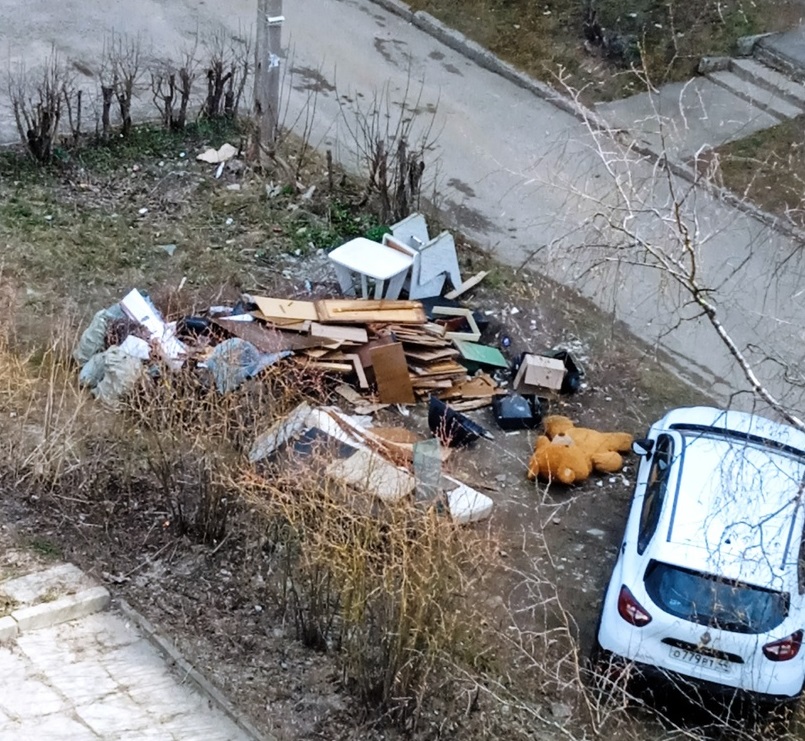 Городок в Костромской области утопает в отходах из-за отсутствия контейнеров