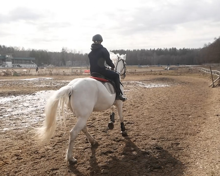 Костромские наездники смогут заниматься конным спортом в студеную зимнюю пору