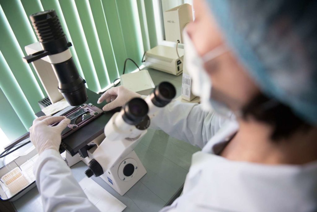 Костромская ветеринарная лаборатория увеличит количество исследований