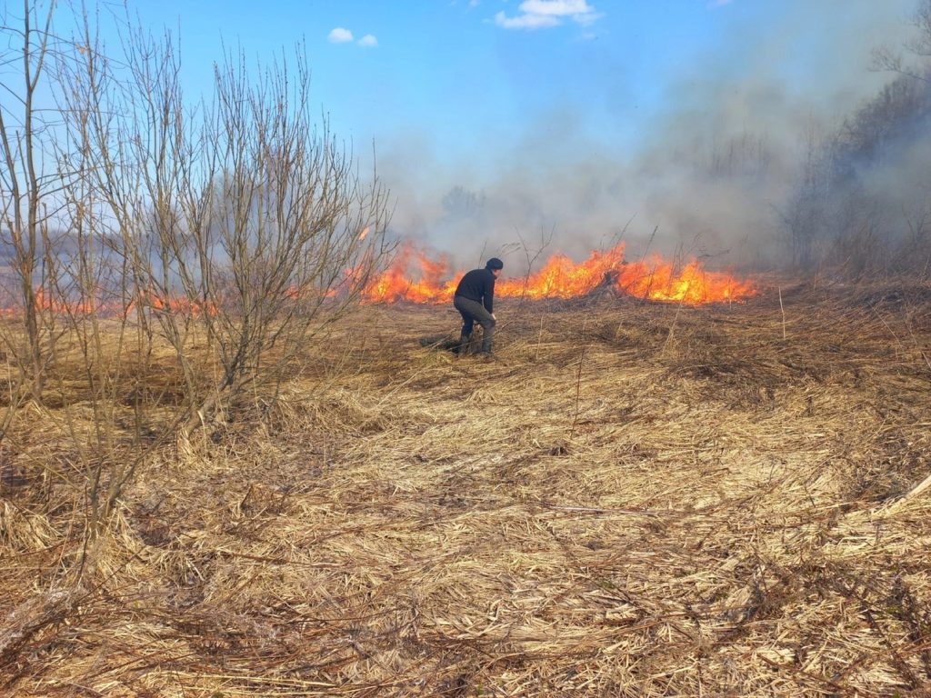 На территории Костромской области начался пожароопасный сезон