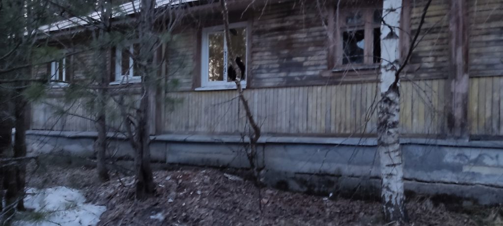 Трагедия 2020 года может повториться: в поселке под Костромой подростки спокойно лазают по заброшенному аварийному зданию