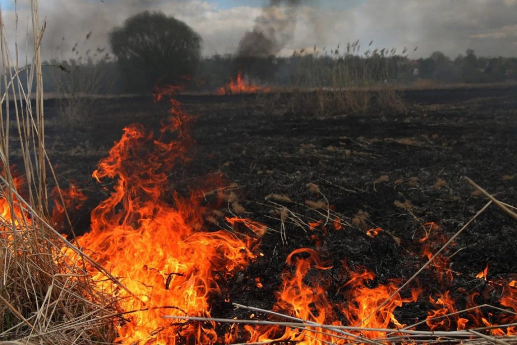 В Костромской области отменен противопожарный режим