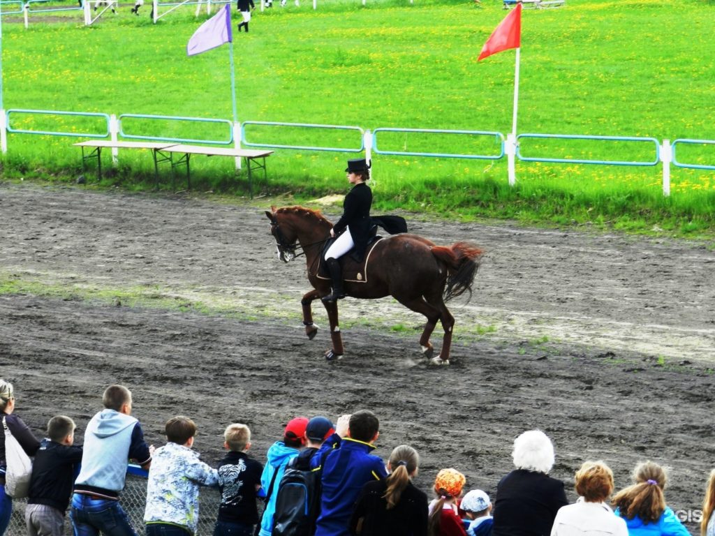 Костромской ипподром открывает новый спортивный сезон по конному спорту