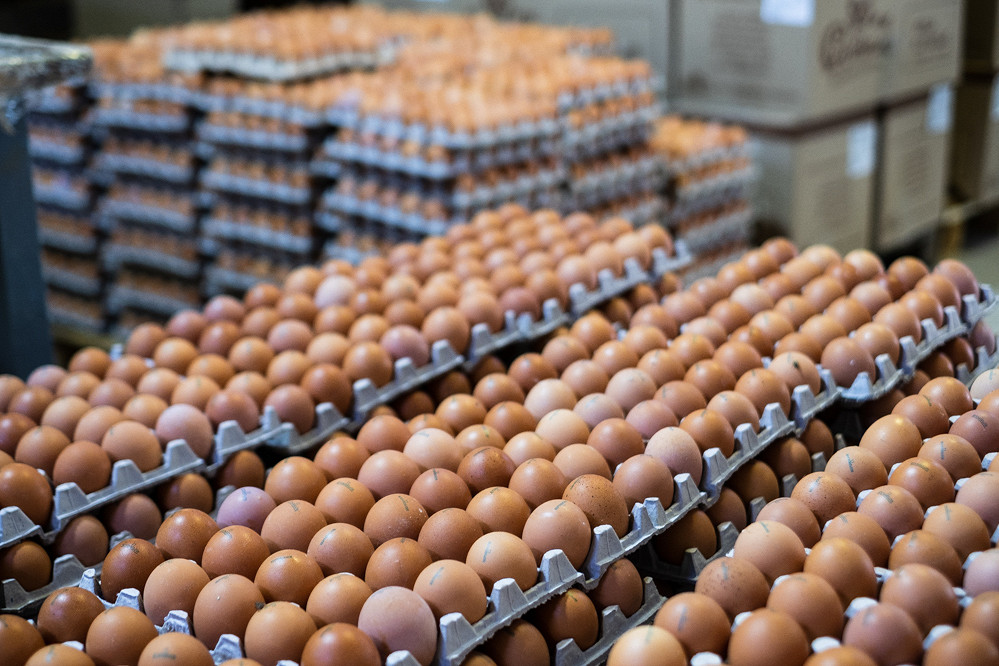 В Костромской области нет дефицита яиц
