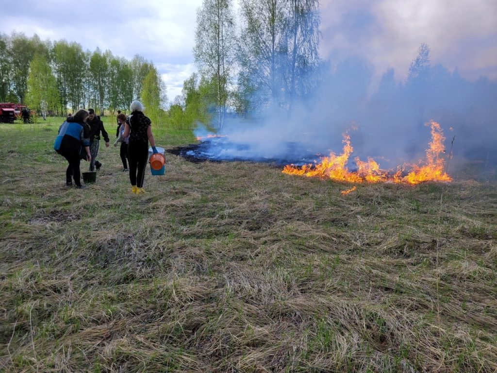 В Костроме неизвестные уже в четвертый раз поджигают траву рядом с центром «Белый Бим»