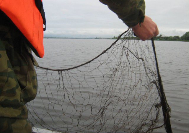 Костромичам предлагают вместо рыбы ловить брошенные сети и мусор