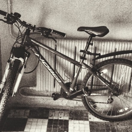Костромич показал подруге эффектный «фокус» с превращением бензопилы и велосипеда в алкоголь