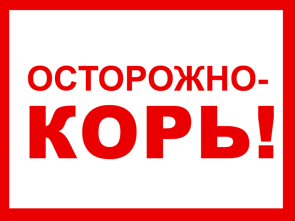 Нужна вакцинация: в Костромской области после двухлетнего перерыва выявлен случай заболевания корью