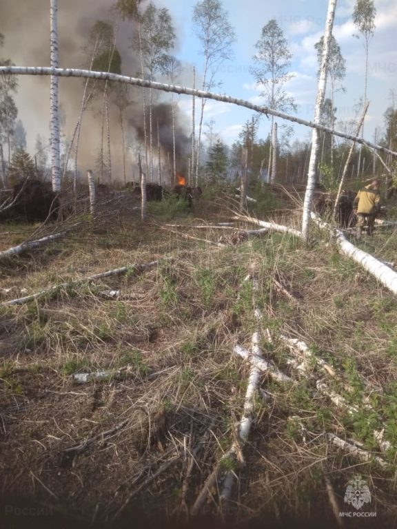 В Костромской области ликвидировали лесной пожар на площади в два гектара