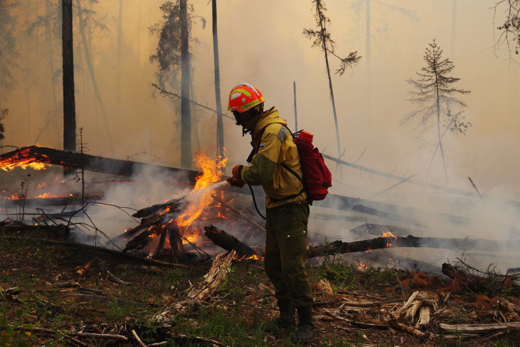 В одном из костромских лесов вспыхнул пожар