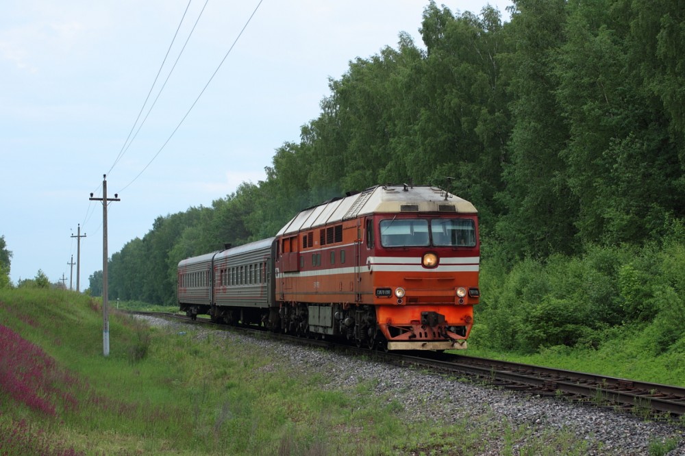 Пригородные поезда Буй – Николо-Полома – Шарья будут высаживать пассажиров на дополнительной остановке