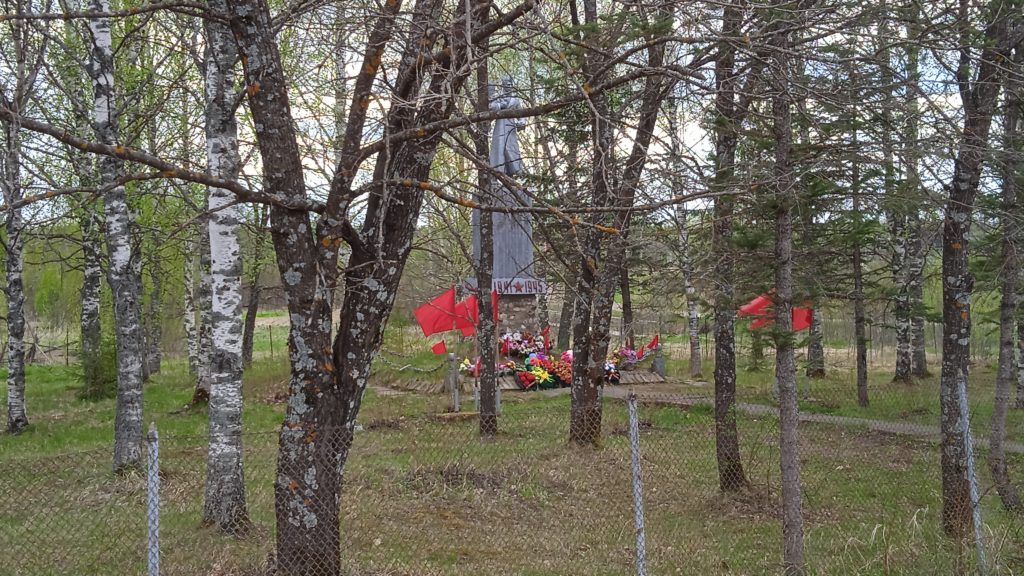 «Никакого вандализма»: скандальная вырубка деревьев на Аллее памяти в костромском поселке была законна и необходима (ВИДЕО)