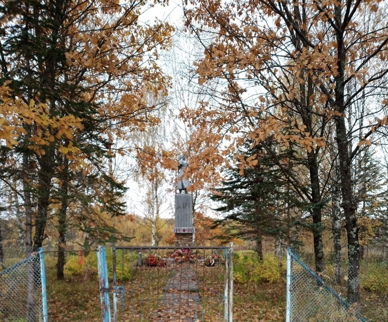 Осквернили и цинично уничтожили: в Костромской области вырубили Аллею Памяти ради ремонта памятника Неизвестному солдату
