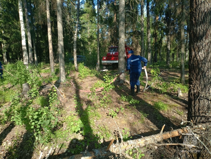 В Костромской области потушили лесной пожар