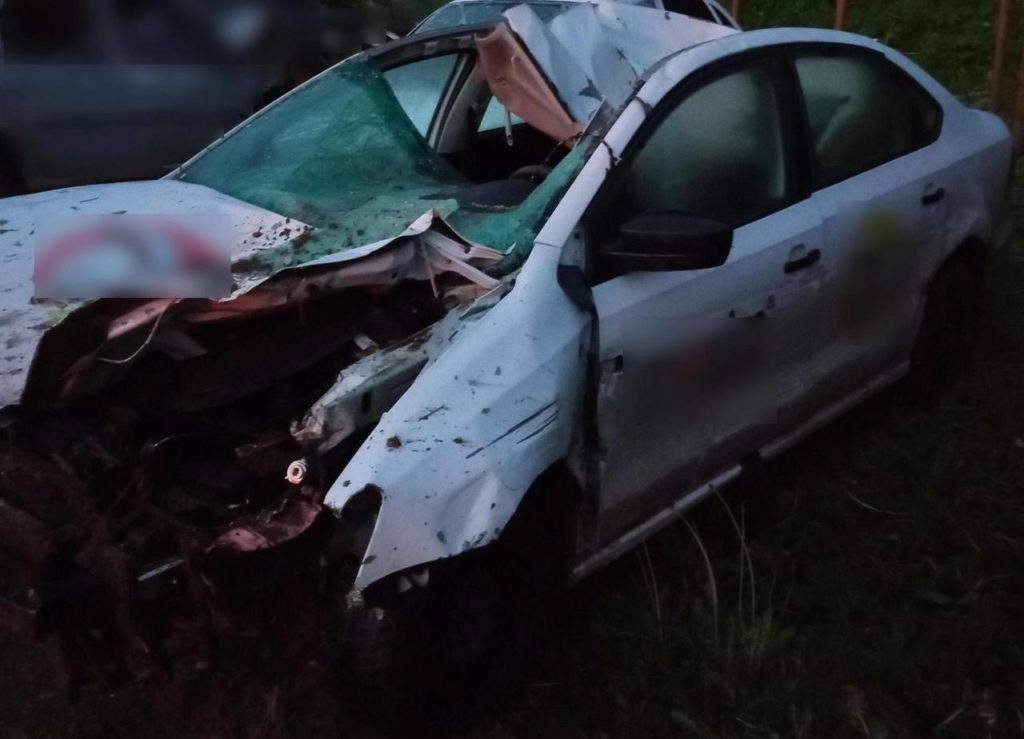 На костромской трассе погиб водитель легковушки после «встречи» с лосем