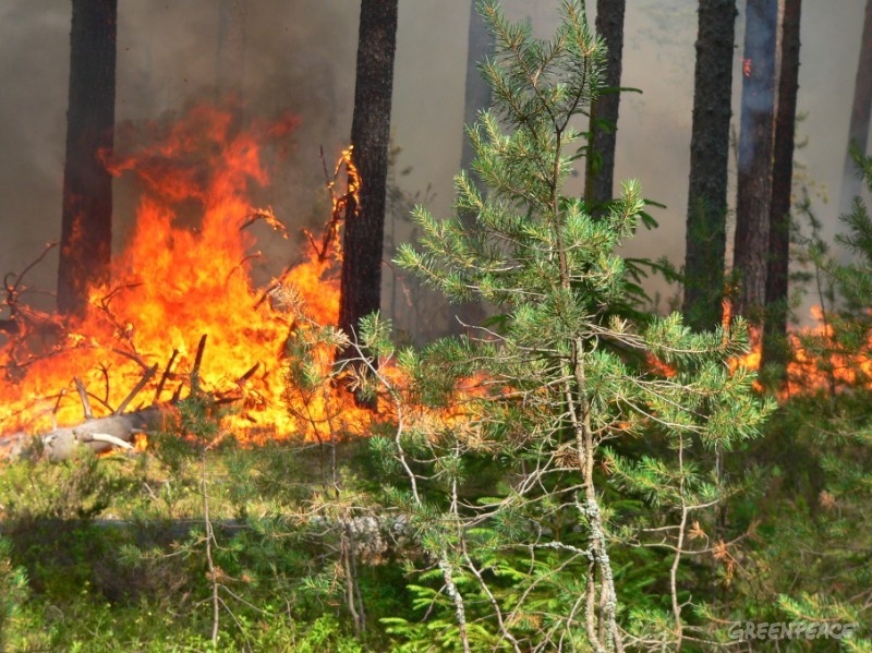 В Костромской области 4 класс пожарной опасности