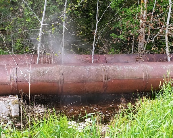 Костромская ТЭЦ заливает кипятком лес в Караваево (ВИДЕО)