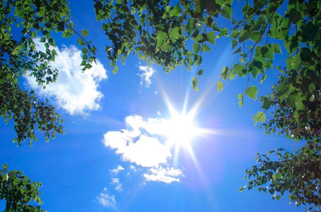 Прогноз погоды на неделю в Костроме: солнце будет слепить