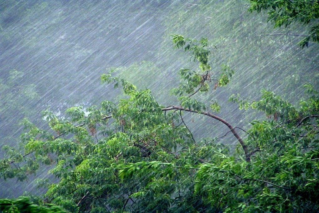 В Костромской области жару сменят грозы, дожди и сильный ветер