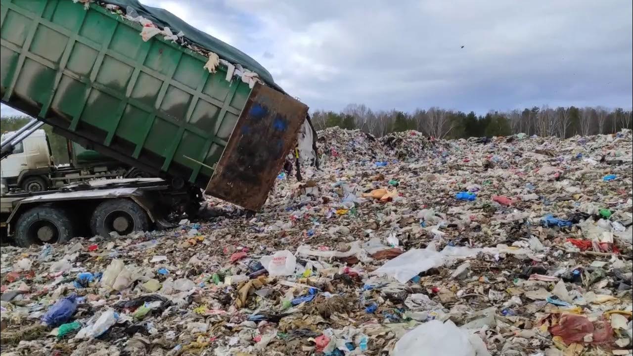 Свалка под Костромой за пять лет нанесла серьезный урон окружающей среде