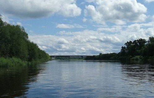 В Мантуровском районе закрыт проезд по мосту через реку Унжа