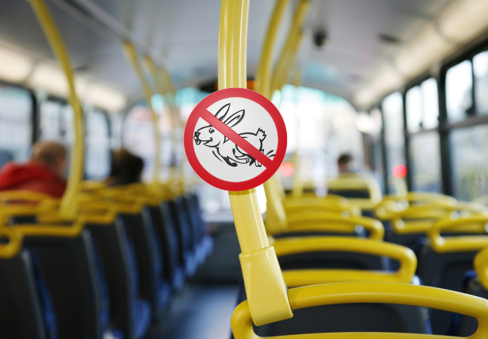 Контролеры в костромских автобусах могут выслеживать «зайцев» тайно