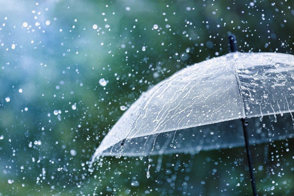 Костромичам снова рекомендуют доставать зонты