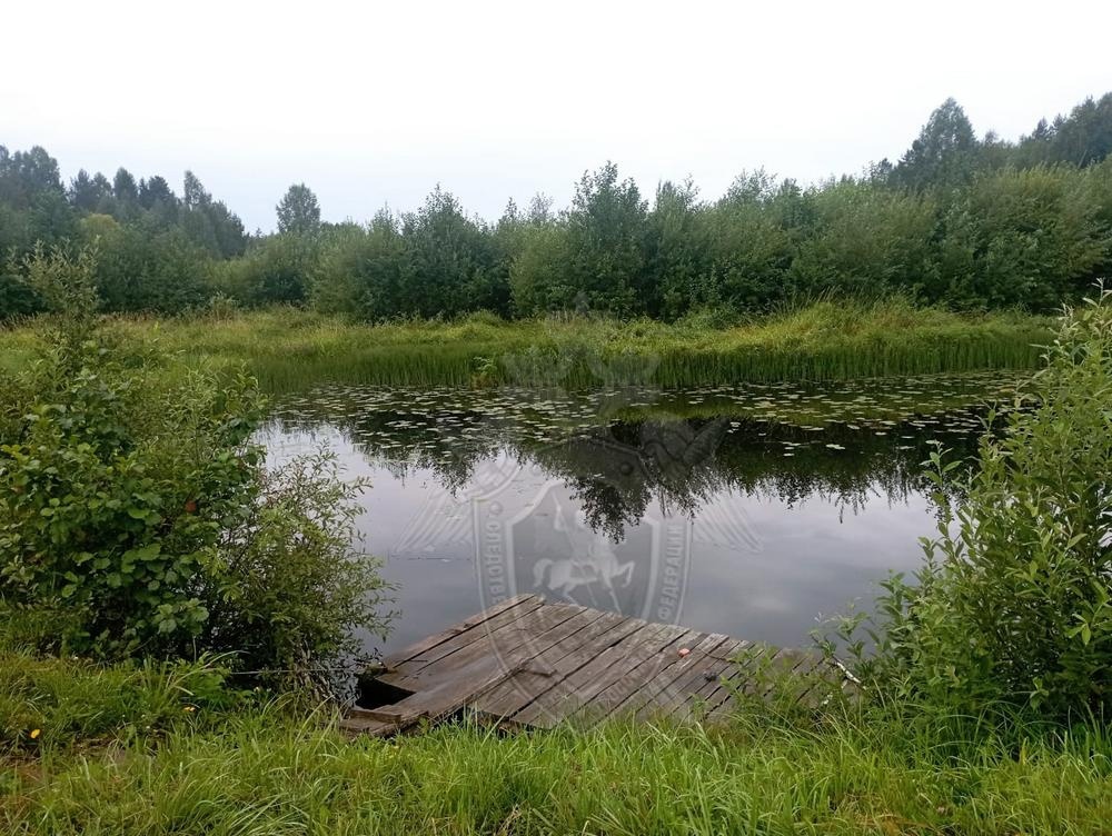 В Костромской области при странных обстоятельствах утонул мужчина