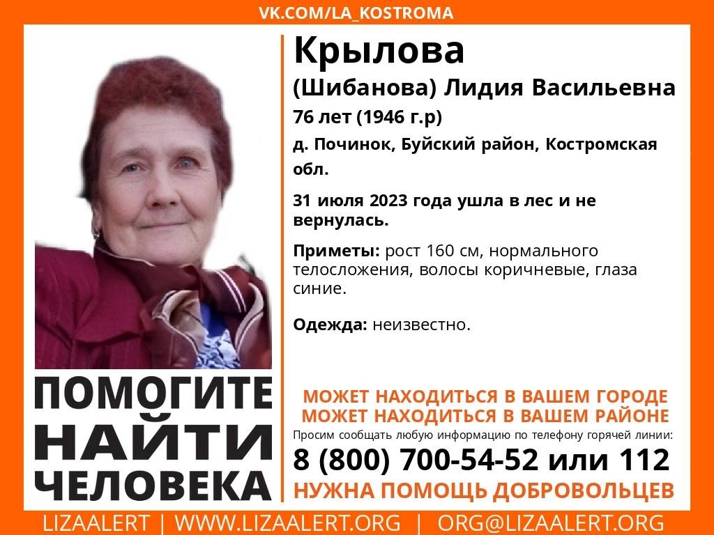 Пенсионерку из Костромской области до сих пор не могут найти